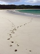 Reef Beach, Isle of Lewis. Footsteps on a deserted beach