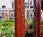 Abandoned No.1. On the East Lothian coast close to North Berwick