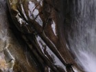Muscles. Falls of Bruar, Perthshire