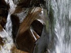 Let me out! Falls of Bruar, Perthshire