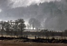A Misty winter's day in Perthshire, taken from the A9