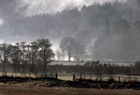 A Misty winter's day in Perthshire, taken from the A9